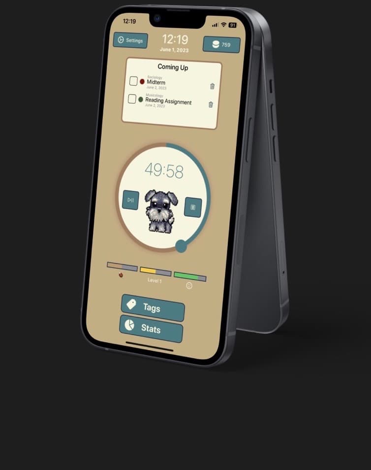 Picture of project